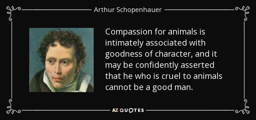 Compassion for animals is intimately associated with goodness of character, and it may be confidently asserted that he who is cruel to animals cannot be a good man. - Arthur Schopenhauer