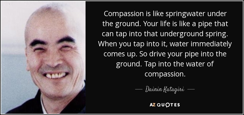 Compassion is like springwater under the ground. Your life is like a pipe that can tap into that underground spring. When you tap into it, water immediately comes up. So drive your pipe into the ground. Tap into the water of compassion. - Dainin Katagiri