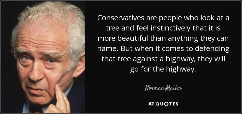 Conservatives are people who look at a tree and feel instinctively that it is more beautiful than anything they can name. But when it comes to defending that tree against a highway, they will go for the highway. - Norman Mailer