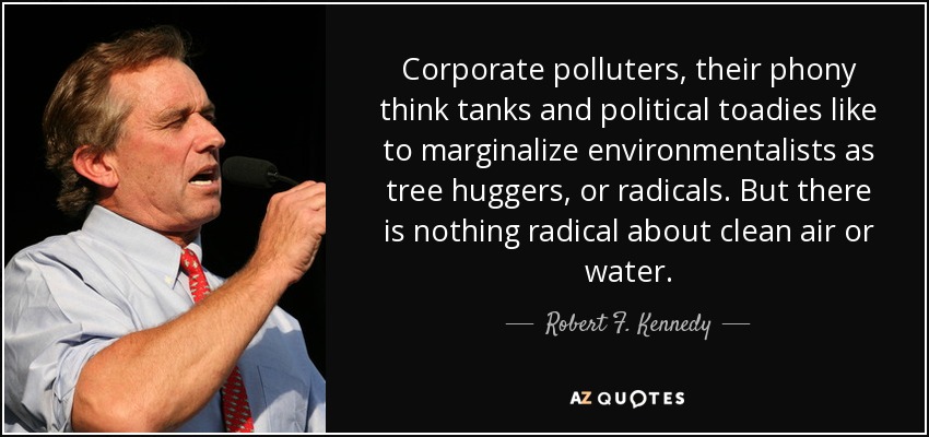 Corporate polluters, their phony think tanks and political toadies like to marginalize environmentalists as tree huggers, or radicals. But there is nothing radical about clean air or water. - Robert F. Kennedy, Jr.