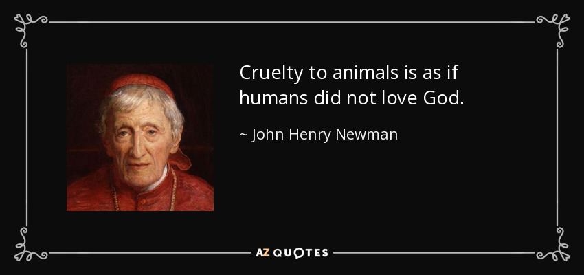 Cruelty to animals is as if humans did not love God. - John Henry Newman