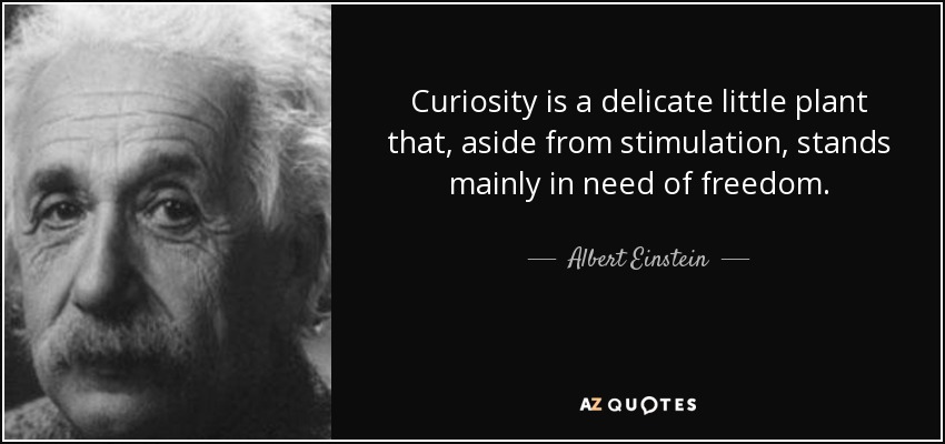 Curiosity is a delicate little plant that, aside from stimulation, stands mainly in need of freedom. - Albert Einstein