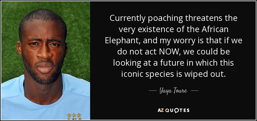 Currently poaching threatens the very existence of the African Elephant, and my worry is that if we do not act NOW, we could be looking at a future in which this iconic species is wiped out. - Yaya Toure