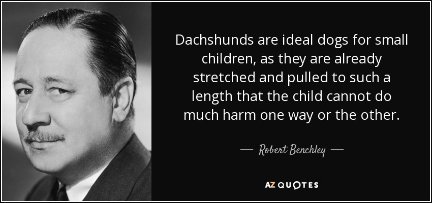 Dachshunds are ideal dogs for small children, as they are already stretched and pulled to such a length that the child cannot do much harm one way or the other. - Robert Benchley