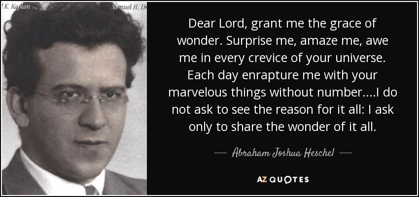 Dear Lord, grant me the grace of wonder. Surprise me, amaze me, awe me in every crevice of your universe. Each day enrapture me with your marvelous things without number. ...I do not ask to see the reason for it all: I ask only to share the wonder of it all. - Abraham Joshua Heschel
