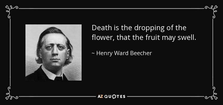 Death is the dropping of the flower, that the fruit may swell. - Henry Ward Beecher