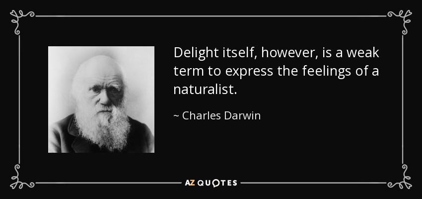 Delight itself, however, is a weak term to express the feelings of a naturalist. - Charles Darwin