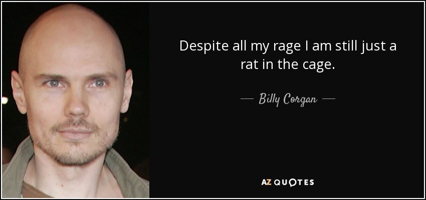 Despite all my rage I am still just a rat in the cage. - Billy Corgan