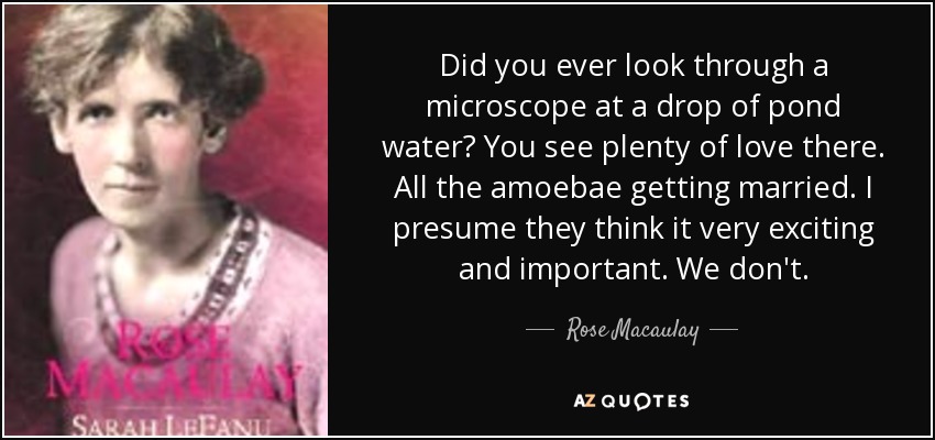 Did you ever look through a microscope at a drop of pond water? You see plenty of love there. All the amoebae getting married. I presume they think it very exciting and important. We don't. - Rose Macaulay