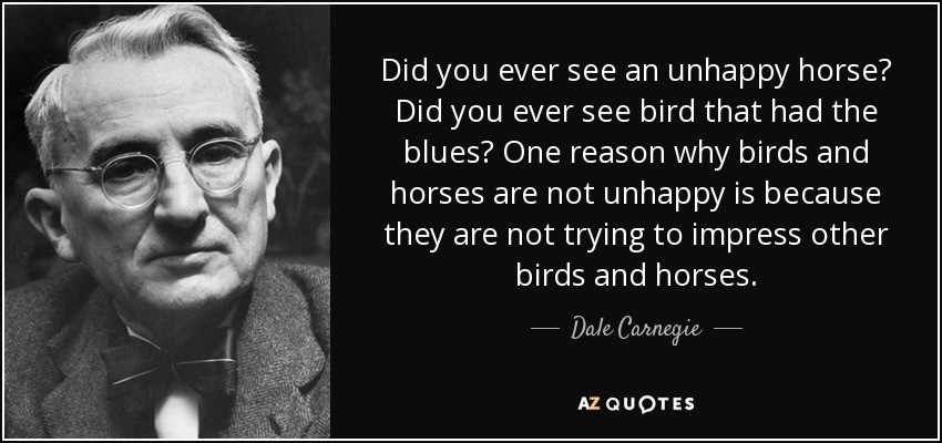 Did you ever see an unhappy horse? Did you ever see bird that had the blues? One reason why birds and horses are not unhappy is because they are not trying to impress other birds and horses. - Dale Carnegie