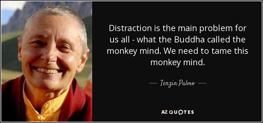 Distraction is the main problem for us all - what the Buddha called the monkey mind. We need to tame this monkey mind. - Tenzin Palmo