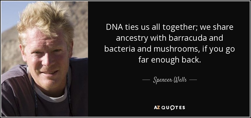 DNA ties us all together; we share ancestry with barracuda and bacteria and mushrooms, if you go far enough back. - Spencer Wells