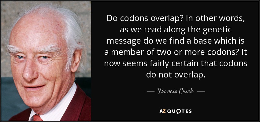 Do codons overlap? In other words, as we read along the genetic message do we find a base which is a member of two or more codons? It now seems fairly certain that codons do not overlap. - Francis Crick