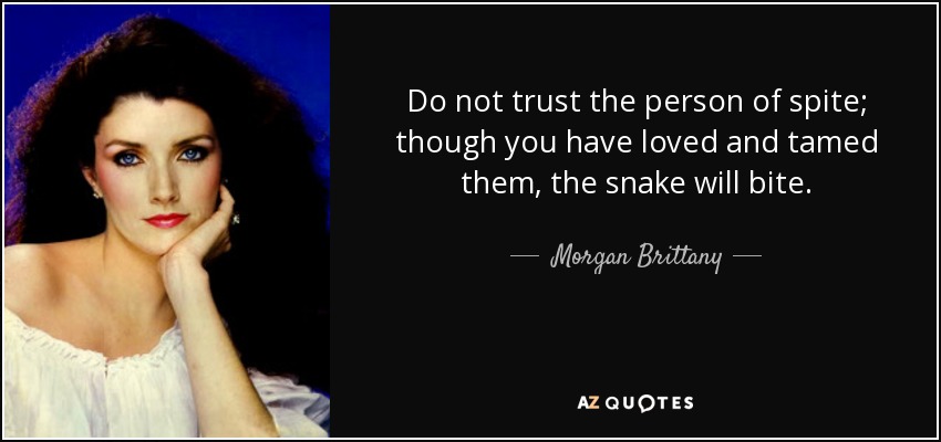 Do not trust the person of spite; though you have loved and tamed them, the snake will bite. - Morgan Brittany
