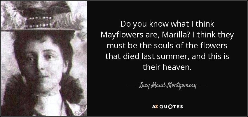 Do you know what I think Mayflowers are, Marilla? I think they must be the souls of the flowers that died last summer, and this is their heaven. - Lucy Maud Montgomery