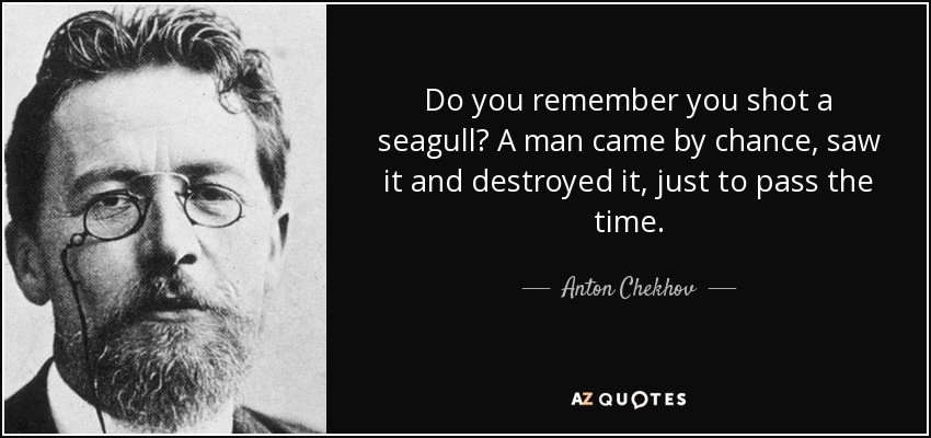 Do you remember you shot a seagull? A man came by chance, saw it and destroyed it, just to pass the time. - Anton Chekhov