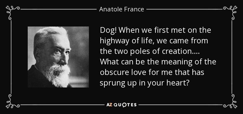 Dog! When we first met on the highway of life, we came from the two poles of creation.... What can be the meaning of the obscure love for me that has sprung up in your heart? - Anatole France