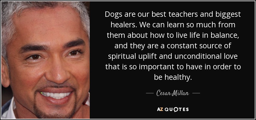 Dogs are our best teachers and biggest healers. We can learn so much from them about how to live life in balance, and they are a constant source of spiritual uplift and unconditional love that is so important to have in order to be healthy. - Cesar Millan