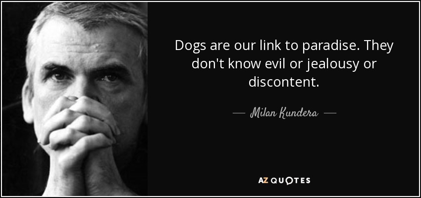 Dogs are our link to paradise. They don't know evil or jealousy or discontent. - Milan Kundera