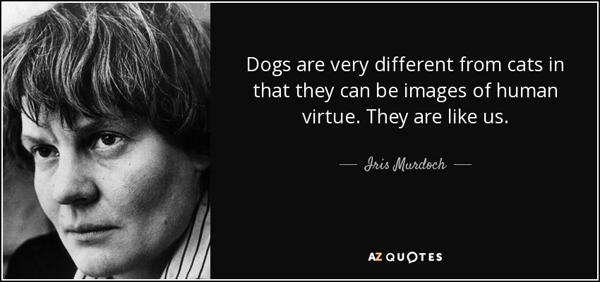 Dogs are very different from cats in that they can be images of human virtue. They are like us. - Iris Murdoch