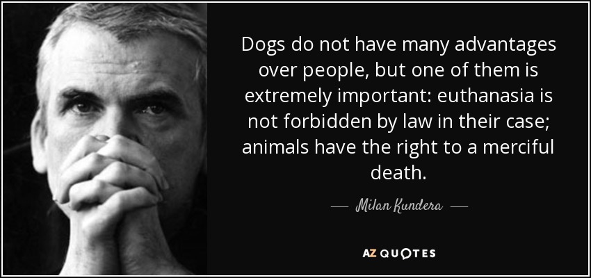 Dogs do not have many advantages over people, but one of them is extremely important: euthanasia is not forbidden by law in their case; animals have the right to a merciful death. - Milan Kundera