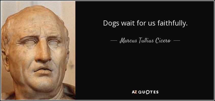 Dogs wait for us faithfully. - Marcus Tullius Cicero