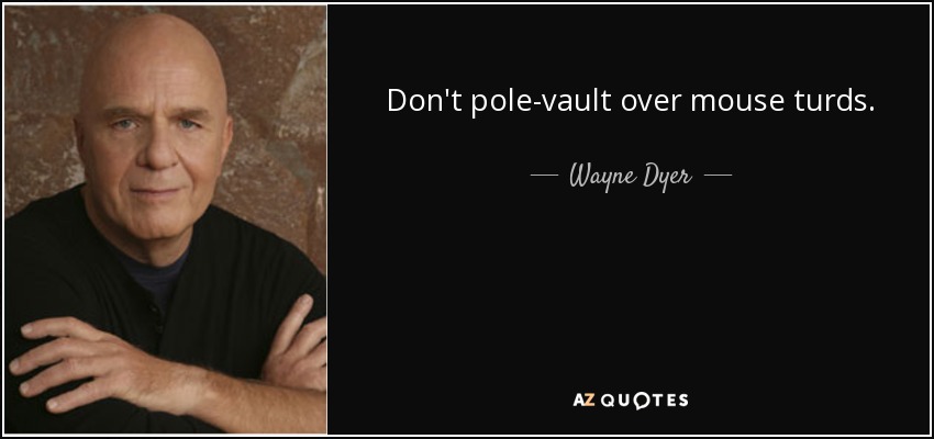 Don't pole-vault over mouse turds. - Wayne Dyer