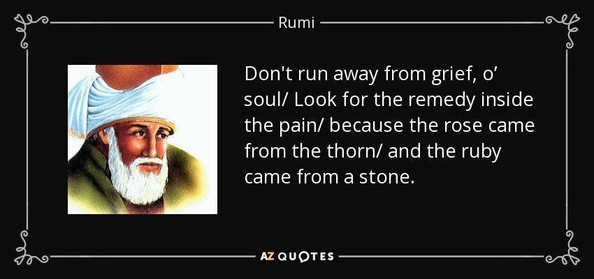 Don't run away from grief, o’ soul/ Look for the remedy inside the pain/ because the rose came from the thorn/ and the ruby came from a stone. - Rumi