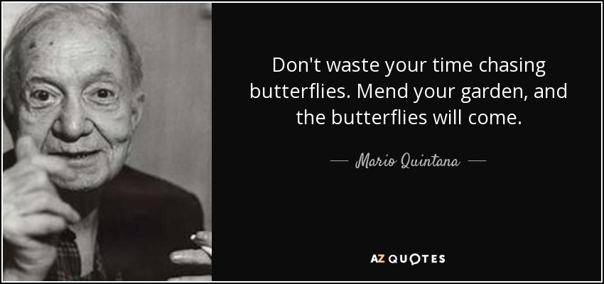 Don't waste your time chasing butterflies. Mend your garden, and the butterflies will come. - Mario Quintana