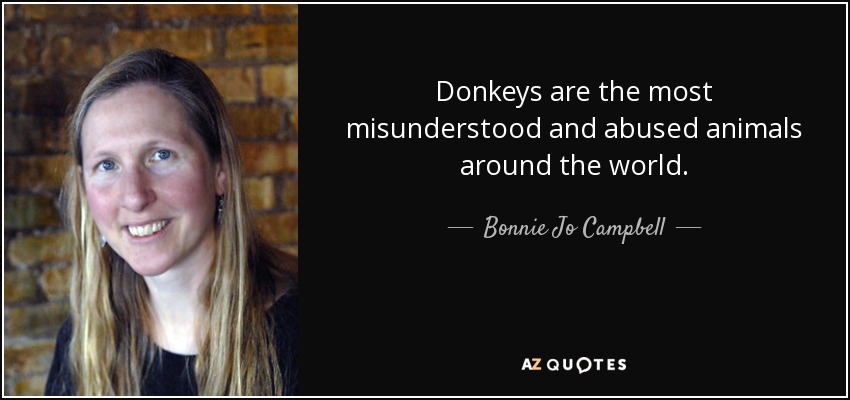 Donkeys are the most misunderstood and abused animals around the world. - Bonnie Jo Campbell