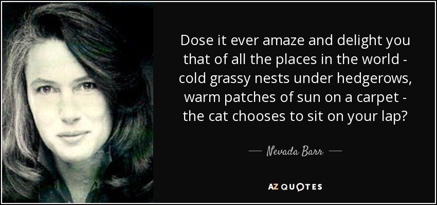 Dose it ever amaze and delight you that of all the places in the world - cold grassy nests under hedgerows, warm patches of sun on a carpet - the cat chooses to sit on your lap? - Nevada Barr