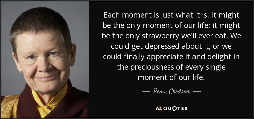 Each moment is just what it is. It might be the only moment of our life; it might be the only strawberry we'll ever eat. We could get depressed about it, or we could finally appreciate it and delight in the preciousness of every single moment of our life. - Pema Chodron