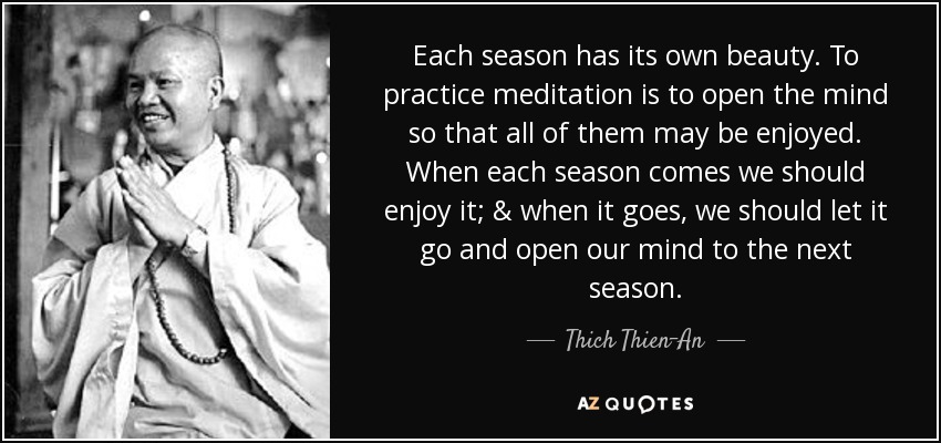 https://www.azquotes.com/picture-quotes/quote-each-season-has-its-own-beauty-to-practice-meditation-is-to-open-the-mind-so-that-all-thich-thien-an-66-82-97.jpg