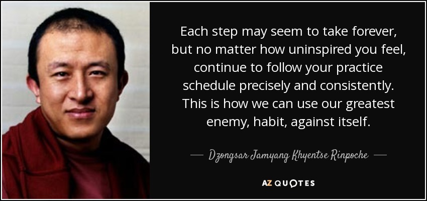 Each step may seem to take forever, but no matter how uninspired you feel, continue to follow your practice schedule precisely and consistently. This is how we can use our greatest enemy, habit, against itself. - Dzongsar Jamyang Khyentse Rinpoche