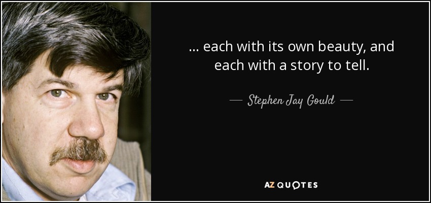 ... each with its own beauty, and each with a story to tell. - Stephen Jay Gould