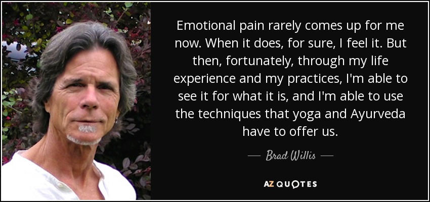 Emotional pain rarely comes up for me now. When it does, for sure, I feel it. But then, fortunately, through my life experience and my practices, I'm able to see it for what it is, and I'm able to use the techniques that yoga and Ayurveda have to offer us. - Brad Willis
