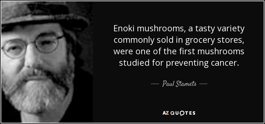 Enoki mushrooms, a tasty variety commonly sold in grocery stores, were one of the first mushrooms studied for preventing cancer. - Paul Stamets