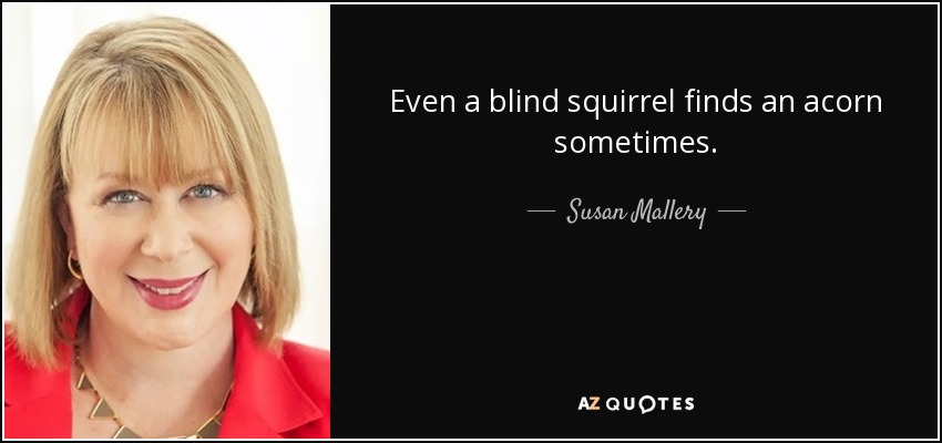 Even a blind squirrel finds an acorn sometimes. - Susan Mallery