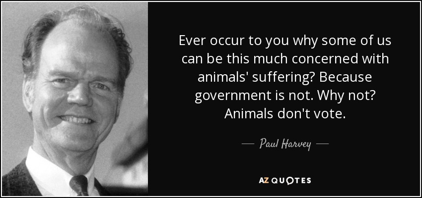 Ever occur to you why some of us can be this much concerned with animals' suffering? Because government is not. Why not? Animals don't vote. - Paul Harvey