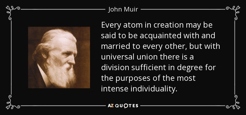 Every atom in creation may be said to be acquainted with and married to every other, but with universal union there is a division sufficient in degree for the purposes of the most intense individuality. - John Muir