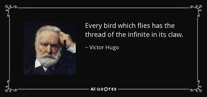 Every bird which flies has the thread of the infinite in its claw. - Victor Hugo