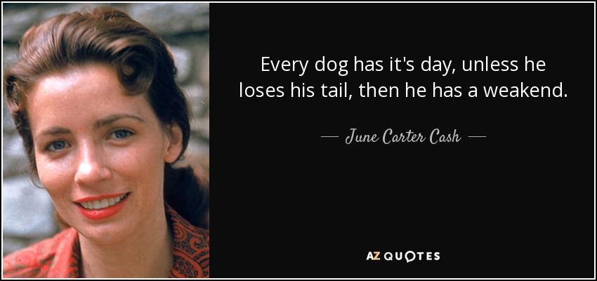 Every dog has it's day, unless he loses his tail, then he has a weakend. - June Carter Cash