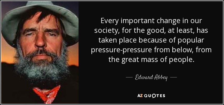 Every important change in our society, for the good, at least, has taken place because of popular pressure-pressure from below, from the great mass of people. - Edward Abbey