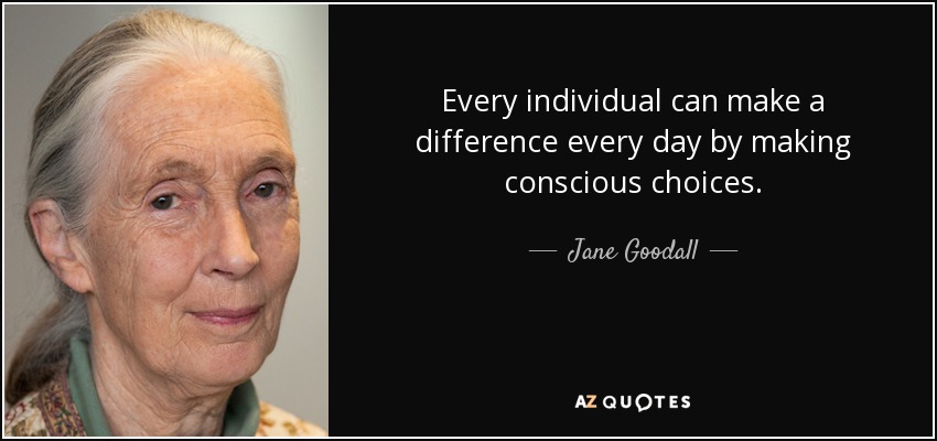 Every individual can make a difference every day by making conscious choices. - Jane Goodall
