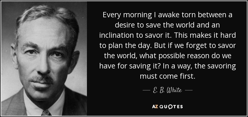Every morning I awake torn between a desire to save the world and an inclination to savor it. This makes it hard to plan the day. But if we forget to savor the world, what possible reason do we have for saving it? In a way, the savoring must come first. - E. B. White