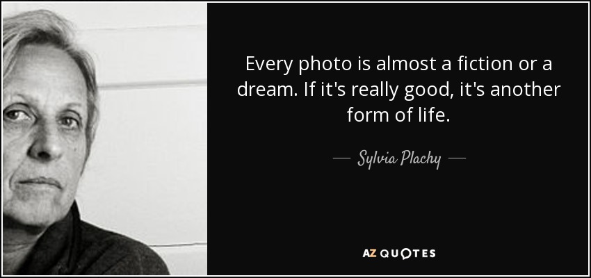 Every photo is almost a fiction or a dream. If it's really good, it's another form of life. - Sylvia Plachy