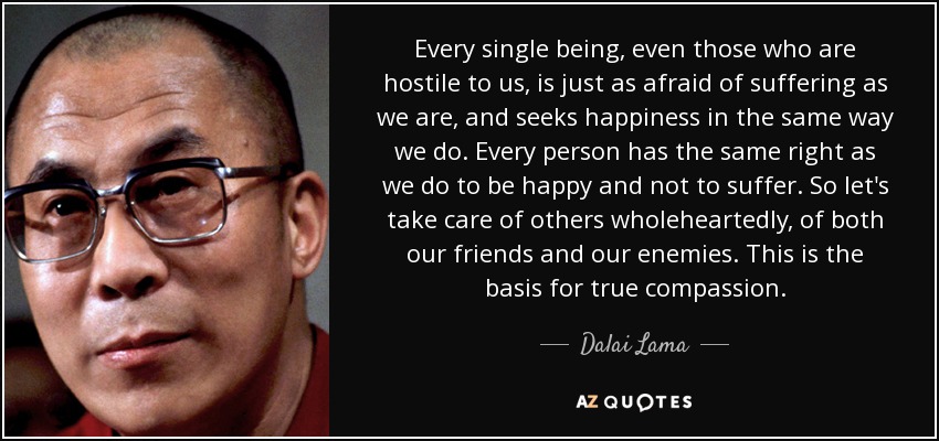 Every single being, even those who are hostile to us, is just as afraid of suffering as we are, and seeks happiness in the same way we do. Every person has the same right as we do to be happy and not to suffer. So let's take care of others wholeheartedly, of both our friends and our enemies. This is the basis for true compassion. - Dalai Lama
