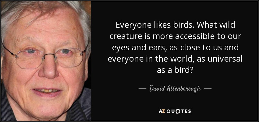 Everyone likes birds. What wild creature is more accessible to our eyes and ears, as close to us and everyone in the world, as universal as a bird? - David Attenborough