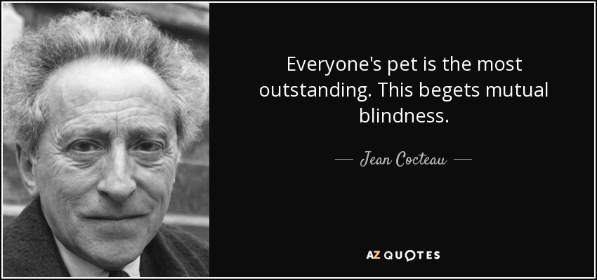 Everyone's pet is the most outstanding. This begets mutual blindness. - Jean Cocteau