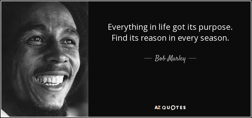 Everything in life got its purpose. Find its reason in every season. - Bob Marley